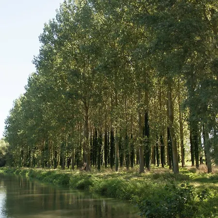 Renovated Mill With Private Garden Holiday home Le Ponchel