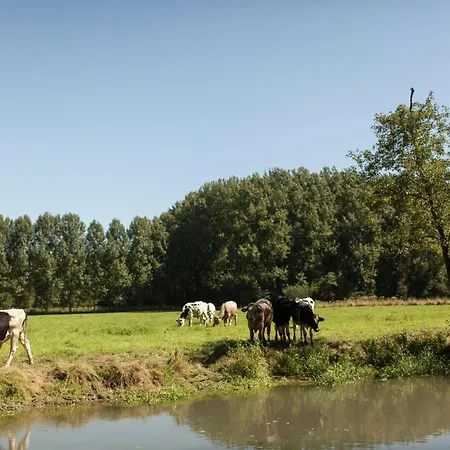Cottage Near The Mill Pond With A Beautiful Garden *