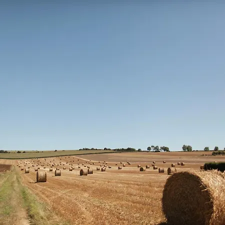 In Vitz-sur-authie Garden View * Le Ponchel