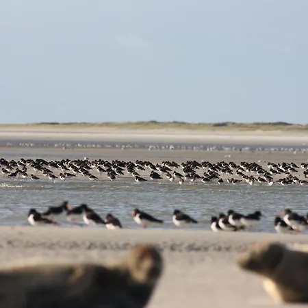 Chalet Near The Mill Pond With A Beautiful Garden